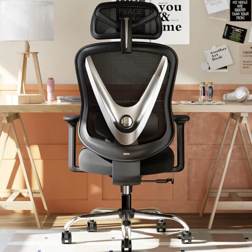 HOLLUDLE Silla de oficina ergonómica de malla, soporte lumbar ajustable 3D y reposabrazos 3D, respaldo en forma de V, silla de escritorio ajustable