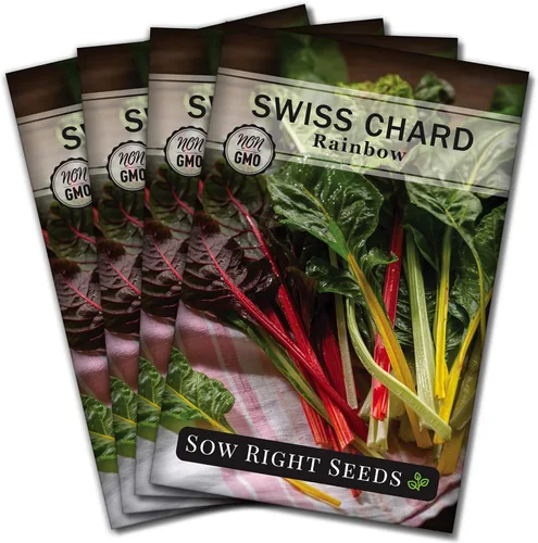 Sow Right Seeds - Semillas de acelga arcoíris para plantar - Paquete de reliquia sin OMG con instrucciones para plantar y cultivar un huerto casero