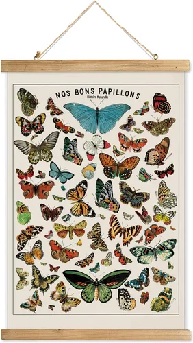 Miniatura 19 de XIAOAIKA Póster Educativo de Vida Silvestre de Seto Británico - Cuadro Ilustrado de la Naturaleza con Marco de Madera - Arte de Pared de Animales