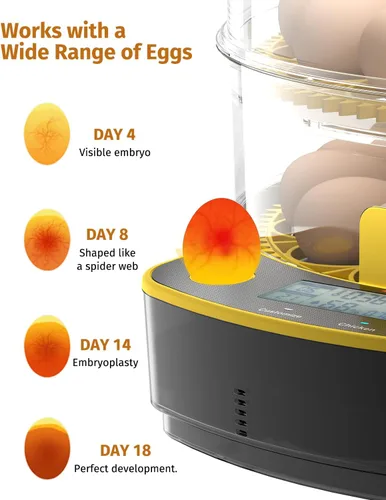 Miniatura 5 de JUJOJB Incubadora de 48 huevos para incubar huevos, doble capa con girador automático de huevos, control de temperatura y humedad, vela de huevos