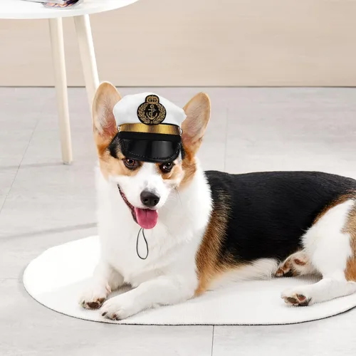 Miniatura 5 de Gorro ajustable de poliéster para perros pequeños y gatos, accesorio para fotos