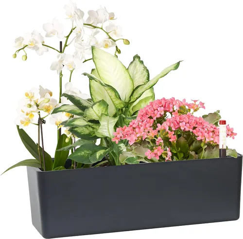 Miniatura 9 de Macetas alargadas con autorriego para ventana, de 5.5 x 16 pulgadas, para interiores, hogar, jardín, maceta decorativa moderna para todas