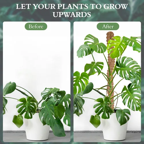 Miniatura 2 de Paquete de 2 postes de musgo de coco de 25 pulgadas para plantas trepadoras de interior, soporte de plantas hecho a mano para enredaderas