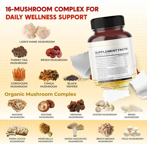 Miniatura 3 de Lion's Mane Turkey Tail Cordyceps Reishi Chaga - Apoyo al Bienestar General