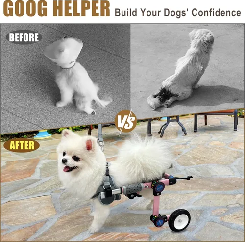 Miniatura 2 de Silla de ruedas ajustable para perros para patas traseras, soporte de movilidad, silla de ruedas ligera para mascotas con patas traseras