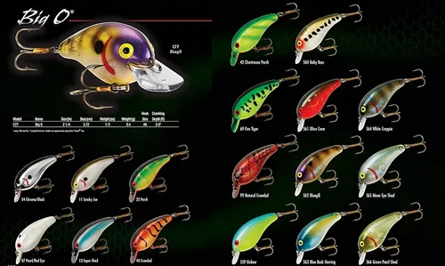 Miniatura 4 de Cotton Cordell Big O - Señuelo de pesca Crankbait de labio cuadrado Baby Bass