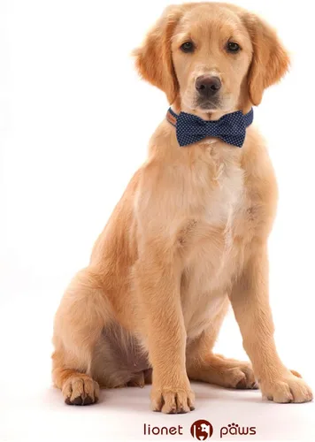 Miniatura 4 de Collar ajustable Lionet con forma de pajarita para gatos y perros. Suave y cómodo, xs, Azul (Blue point)