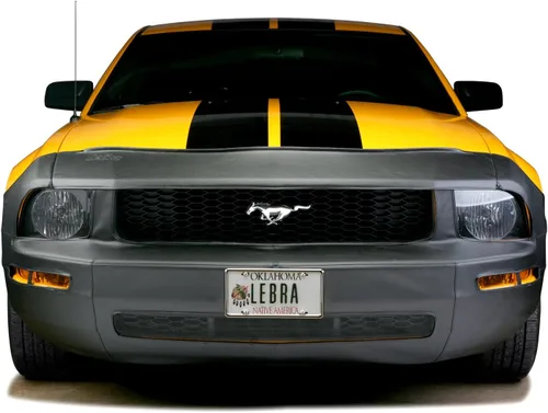 Miniatura 2 de Covercraft LeBra - Cubierta frontal personalizada para Mercury Montego 2005-2007, vinilo (negro)