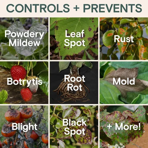 Miniatura 9 de Arber Bio Protectant Fungicida Orgánico para Plantas de Exterior y Concentrado Líquido Estimulante de Raíces Solución Natural de Jardinería que