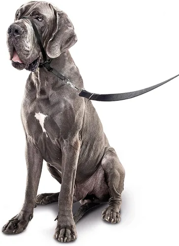 Miniatura 3 de Beaphar Gentle Leader L - Collar para cabeza de perro, 1 pieza, tela, entrenamiento amable y eficaz, sin tirones ni asfixia, razas grandes