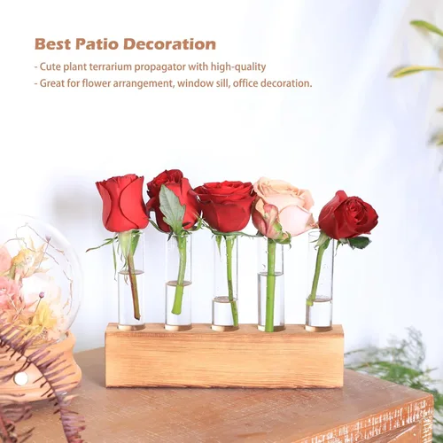 Miniatura 3 de KAXYEW - Estación de propagación de plantas, tubos de propagación de plantas, regalos para amantes de las plantas, soporte de tubo de ensayo, jarrón