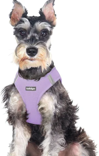 Miniatura 21 de rabbitgoo Arnés para perro pequeño, chaleco de malla suave para cachorros con hebilla de seguridad, arnés reflectante transpirable para mascotas