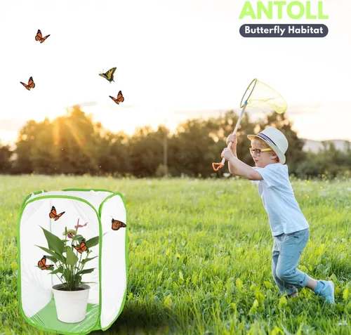 Miniatura 6 de Jaula de hábitat de gran tamaño, jaula de malla de insectos voladores de mariposa libélula, planta de observación al aire libre y terrario