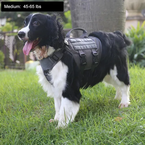 Miniatura 2 de ICEFANG GN3 Arnés táctico para perros con 6 hebillas, chaleco Molle con asa, cobertura de 3/4 del cuerpo, panel de velcro para parche de Gris wolf