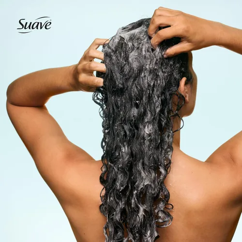 Miniatura 5 de Suave Champú reparador de humedad, sin sulfatos, para restaurar la humedad con cada lavado, seguro para el cabello tratado con color, 12.6 onzas