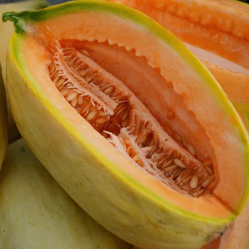 Miniatura 6 de Melón de plátano - 25 semillas - Variedad de reliquia y polinizada abierta, dulce y fácil de cultivar, semillas de frutas y verduras sin OMG