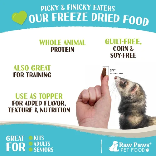 Miniatura 3 de Raw Paws Alimento liofilizado para hurones – Receta de carne de res, 16 onzas – Hecho en Estados Unidos – Dieta de hurones sin granos para hurones