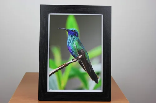 Miniatura 5 de PPD Papel fotográfico brillante para impresora de inyección de tinta, hojas imprimibles de alta calidad de 8 x 10 pulgadas para imagen
