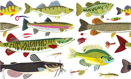 Miniatura 2 de Taza de viaje Tervis Freshwater Fish and Lures fabricada en Estados Unidos de doble pared aislada mantiene las bebidas frías y calientes, 16 onzas