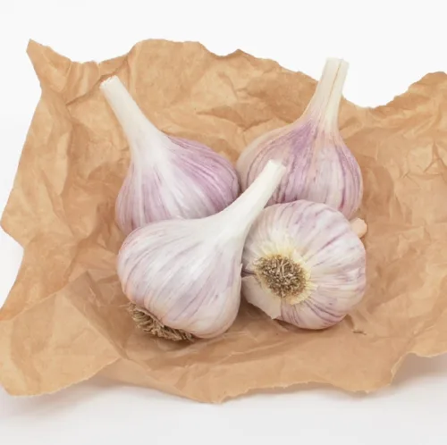 Miniatura 2 de Gourmet chesnok Rojo ajos. Duro – 4 focos– Ajo de cuello para Planta para otoño de plantación – non-gmo orgánico Grown