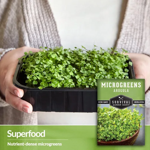 Miniatura 3 de 1 paquete de microgreens de rúcula para plantar y cultivar – Semilla para plantar microvegetales de hoja verde en interiores – Cultiva tu propio