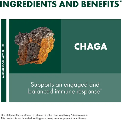 Miniatura 6 de Host Defense Cápsulas Chaga - Suplemento de apoyo del sistema inmunológico - Cápsulas de hongos Chaga para apoyo a la actividad antioxidante