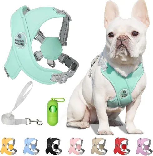 Miniatura 9 de Patas Lague Juego de arnés para perro con correa, ajustable, suave, acolchado, chaleco de entrada para perro, sin estrangulamiento, sin tirones