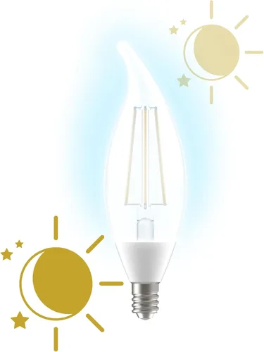 Miniatura 9 de GE LED+ CA11 - Bombillas LED para exteriores del atardecer al amanecer, luces de seguridad automáticas encendido/apagado, luz del día, base Luz