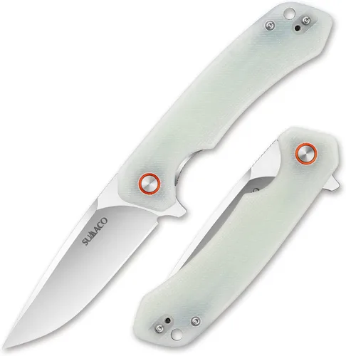 Cuchillo de bolsillo para hombre, acero D2 y mango G10, 3.54 pulgadas de longitud de la hoja, cuchillos de bolsillo con clip y cuchillos plegables -