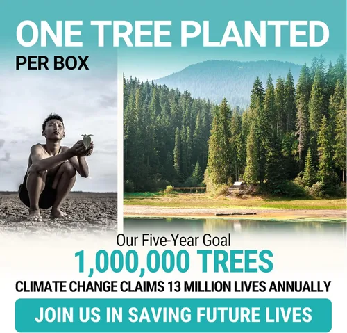 Miniatura 4 de Tenedores de madera desechables para comer, 300 piezas, resistentes y afilados, nuestra madera certificada FSC sin culpa protege los bosques, una