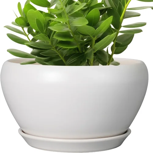 Miniatura 50 de Maceta de Cerámica Moderna con Esmalte para Suculentas con Agujero de Drenaje y Platillo, Maceta Redonda de 6 Pulgadas para Plantas de Flores