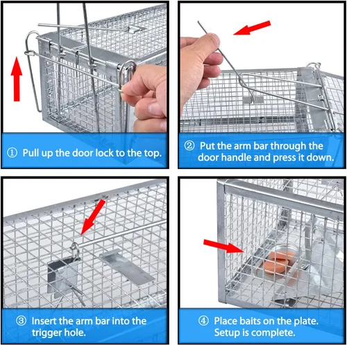 Miniatura 5 de Paquete de 2 trampas para ardillas, trampas para ratones y ratas, para atraparlos vivos, para uso en interiores y exteriores (plateado)