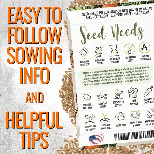Miniatura 4 de Seed Needs, Tendersweet Semillas de zanahoria – 800 semillas de reliquia para plantar Daucus carota – Cultivadas en casa sin OMG y sin tratar