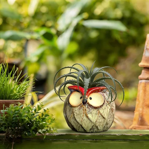 Miniatura 7 de Maceta en forma de búho para jardín de GeLive