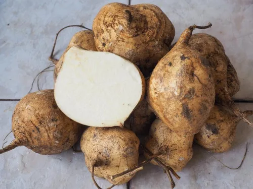 Semillas tailandesas de Jícama, (25 semillas por paquete) Semillas de jícama para plantar en casa en su jardín. La jícama tailandesa es una variedad