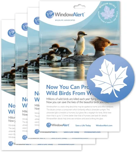 Miniatura 36 de WindowAlert Cobertura Anticolisión de Copo de Nieve - Adhesivo de Ventana UV-Reflectante para Proteger a las Aves Silvestres de Colisiones contra