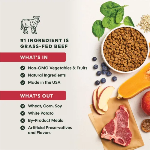 Miniatura 4 de Instinct Be Natural, alimento seco natural para perros, croquetas con recubrimiento crudo - carne de res real y cebada, bolsa de 25 lb