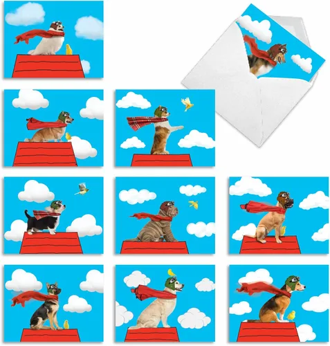 The Best Card Company Juego de 10 notas de agradecimiento surtidas de 4 x 5.12 pulgadas con sobres (10 diseños, 1 cada uno) COMICAL CANINES: 10