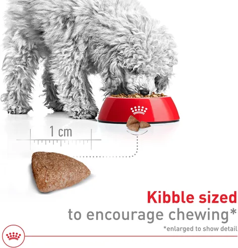 Miniatura 3 de Royal Canin Size Health Nutrition - Alimento seco para perros adultos de interior pequeño, bolsa de 2.5 libras