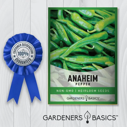 Miniatura 5 de Gardeners Basics, Anaheim Semillas de pimiento para plantar pimientos tradicionales sin OMG Anaheim semillas de plantas para verduras de jardín