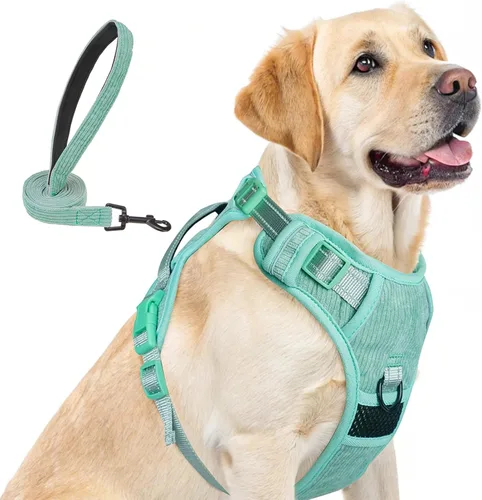 Miniatura 28 de BEAUTYZOO Arnés para perro sin tirones pequeño, juego de arnés y correa ajustable para perro - Fácil de usar con 3 hebillas/mango de control, arnés