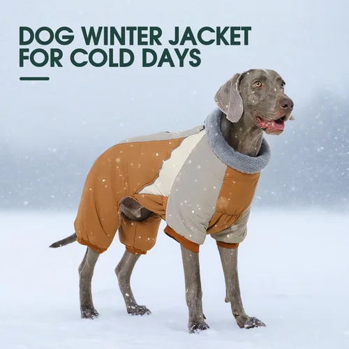 Miniatura 7 de Kuoser - Abrigo completo para perro - Abrigo cálido de invierno con chaqueta reflectante y arnés incorporado para perros pequeños - Adecuado