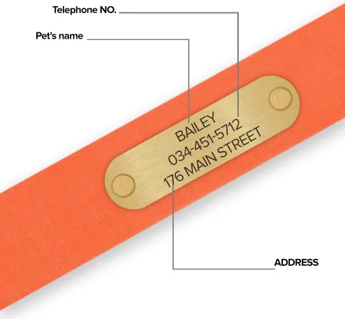 Miniatura 7 de Regal Dog Products Collar de Perro Naranja Mediano con Placa de Nombre Grabada Personalizada - Ajuste Personalizado, Resistente, Fácil de Limpiar