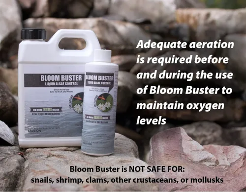 Miniatura 7 de Bloom Buster Pond Control de algas – 16 oz – Algicida de acción rápida, uso en fuentes y estanques al aire libre que contienen koi y otros peces