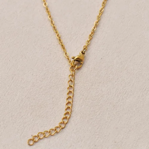 Miniatura 5 de Collar de acero inoxidable personalizable