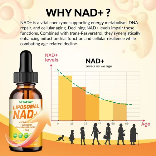 Miniatura 3 de Suplemento liposomal NAD – 1500 mg NAD+ gota líquida para mujeres y hombres nicotinamida adenina dinucleótido y complejo de resveratrol – Renovación