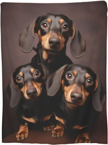 Manta de perro salchicha de perro salchicha suave y cálida, manta de franela para perro, manta mullida de perro salchicha para mujeres, niñas,