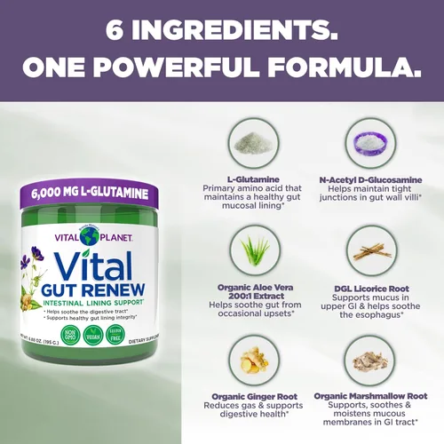 Miniatura 3 de Vital Planet - Suplemento en Polvo Vital Gut Renew para Reparación de Intestino Permeable con L-Glutamina, Malvavisco y Raíz de Jengibre, Raíz
