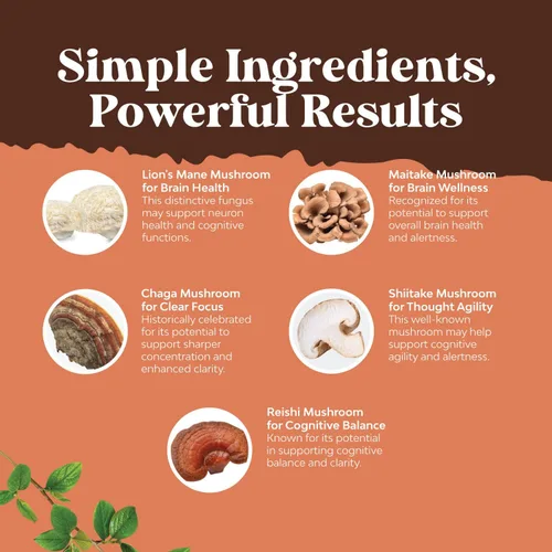 Miniatura 4 de Advanced Mushroom Complex Cápsulas – 10 cápsulas de suplemento de melena de león con Reishi, Chaga, Maitake y Shiitake para la salud cerebral apoyo