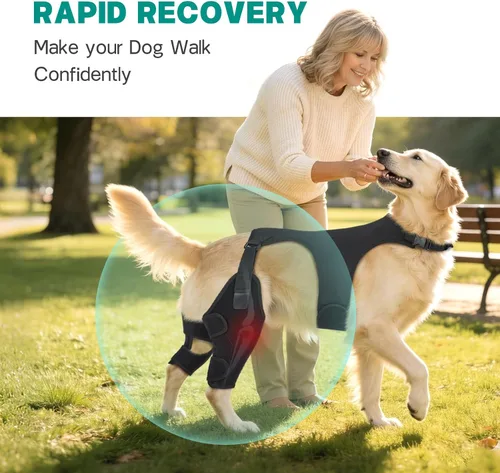 Miniatura 4 de Rodilleras ajustables para patas de perro para pierna trasera, con 4 estabilizadores, ACL para reducir el dolor, lesiones de ligamentos y rótula